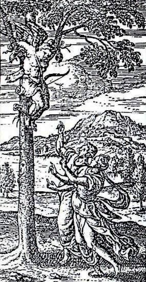 De Cruce Liber Primus