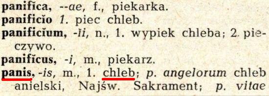 Słownik łacińsko-polski