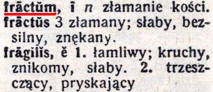 Słownik łacińsko-polski