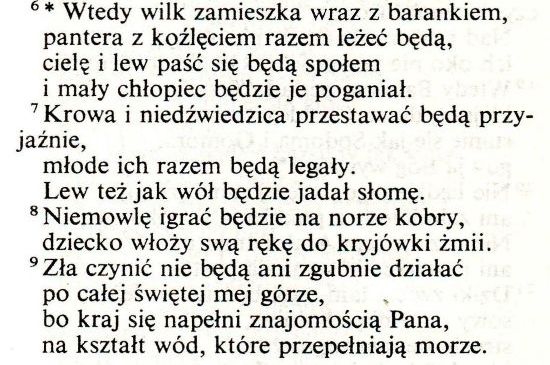 Biblia Tysiąclecia wyd.IV