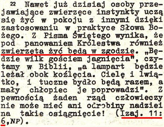 Strażnica 1980 Nr 19
