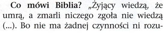 Strażnica 1 listopada 2009