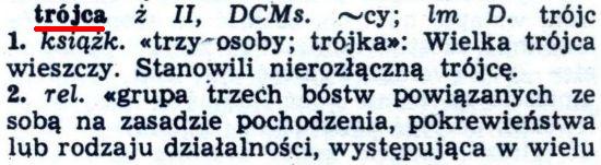 Słownik języka polskiego