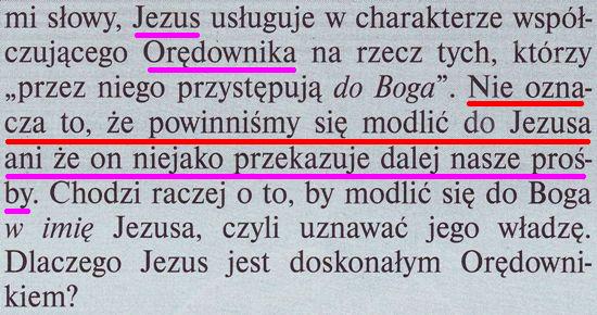 Przebudźcie się listopad 2010
