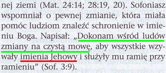 Strażnica 15 stycznia 2011