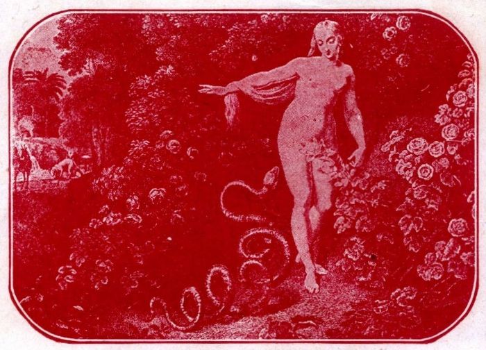 Fotodrama Stworzenia