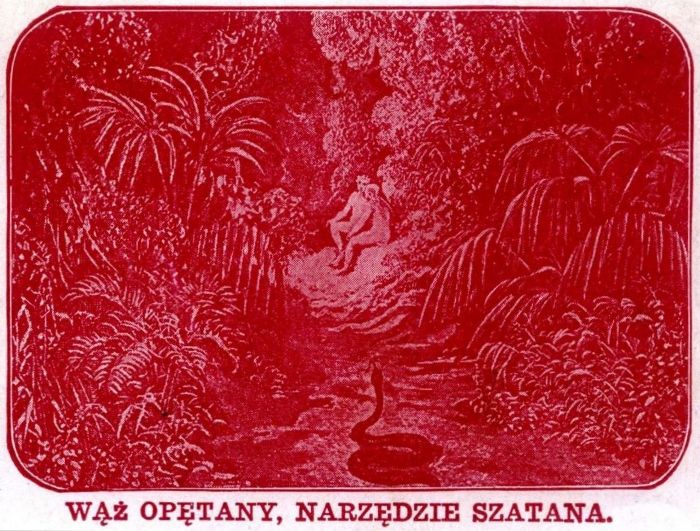 Fotodrama Stworzenia