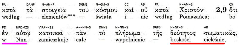 Biblia Tysiąclecia Pallottinum