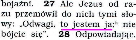 Przekład Nowego Świata
