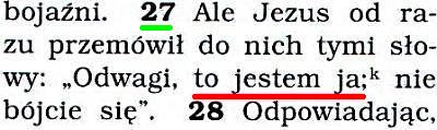 Przekład Nowego Świata