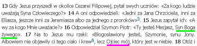 Biblia Tysiąclecia Pallottinum