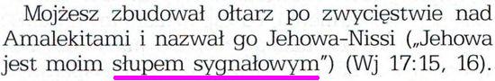 Wnikliwe poznawanie Pism tom.1