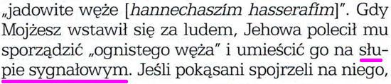 Wnikliwe poznawanie Pism tom.1