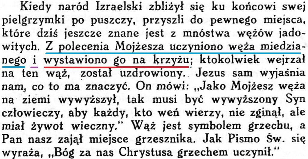 Fotodrama Stworzenia