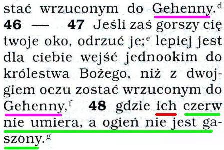 Przekład Nowego Świata