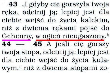 Przekład Nowego Świata