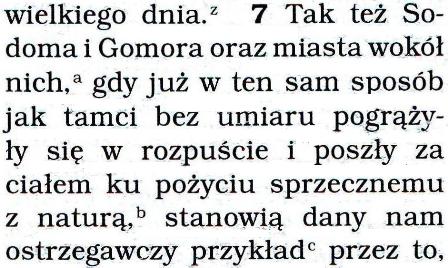 Przekład Nowego Świata