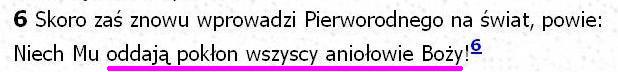 Biblia Tysiąclecia Pallottinum