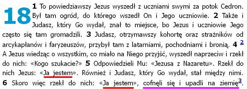 Biblia Tysiąclecia Pallottinum