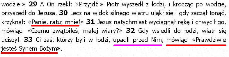 Biblia Tysiąclecia Pallottinum