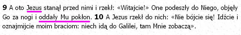 Biblia Tysiąclecia Pallottinum