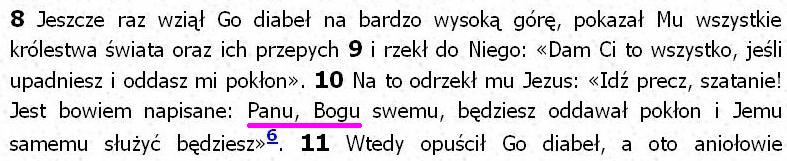 Biblia Tysiąclecia Pallottinum