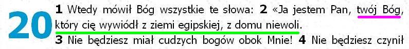 Biblia Tysiąclecia Pallottinum