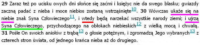 Biblia Tysiąclecia Pallottinum