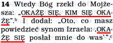 Przekład Nowego Świata