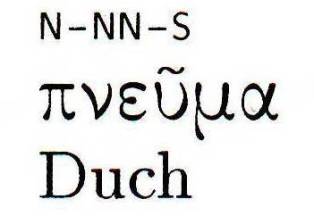 Grecko-polski Nowy Testament