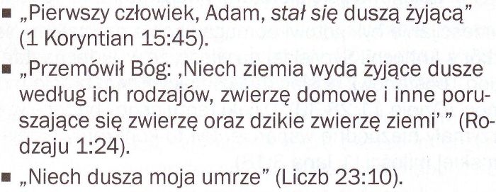 Przebudźcie się! Luty 2013