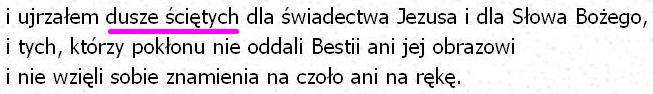 Biblia Tysiąclecia Pallottinum