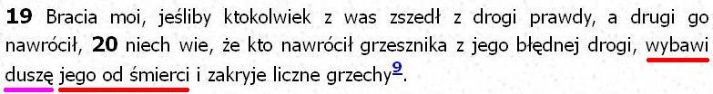 Biblia Tysiąclecia Pallottinum