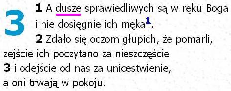 Biblia Tysiąclecia Pallottinum