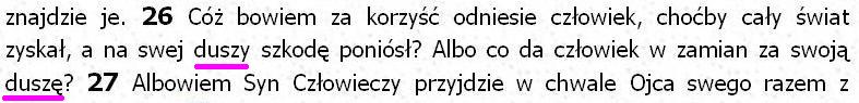 Biblia Tysiąclecia Pallottinum