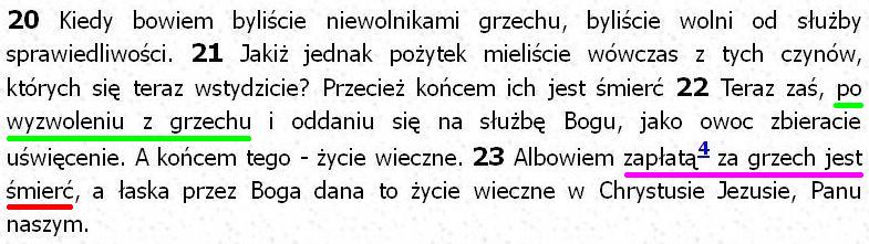 Biblia Tysiąclecia Pallottinum