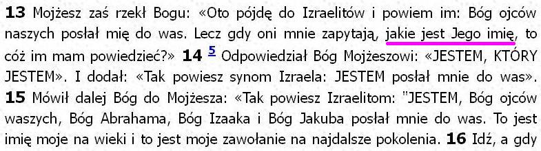 Biblia Tysiąclecia Pallottinum