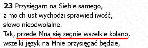 Biblia Tysiąclecia Pallottinum