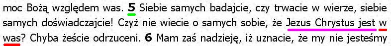 Biblia Tysiąclecia Pallottinum