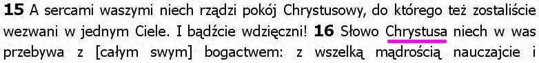 Biblia Tysiąclecia Pallottinum