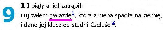 Biblia Tysiąclecia Pallottinum