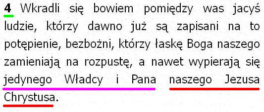 Biblia Tysiąclecia Pallottinum