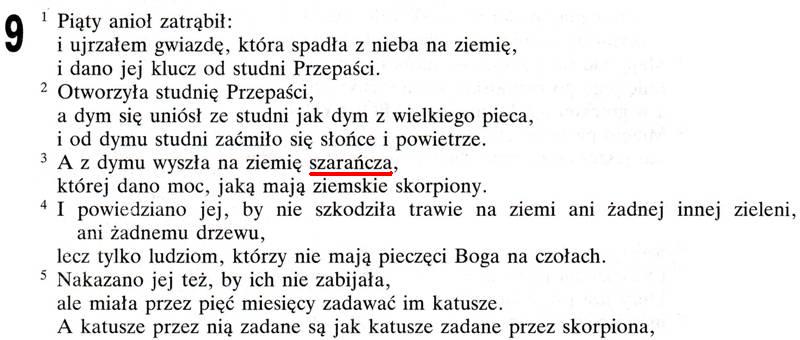 Biblia Poznańska Nowy Testament