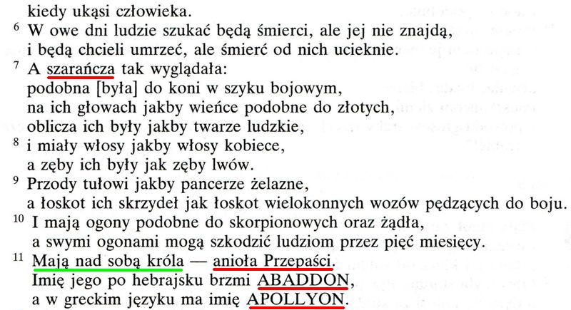 Biblia Poznańska Nowy Testament
