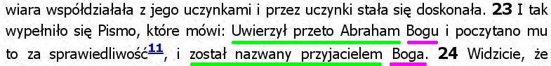 Biblia Tysiąclecia Pallottinum