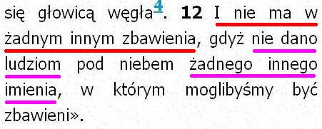 Biblia Tysiąclecia Pallottinum
