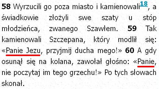 Biblia Tysiąclecia Pallottinum