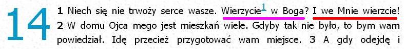 Biblia Tysiąclecia Pallottinum