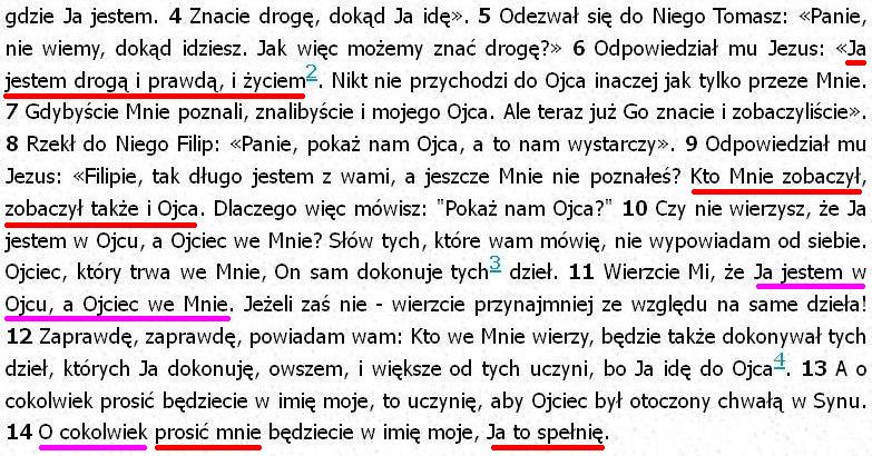 Biblia Tysiąclecia Pallottinum