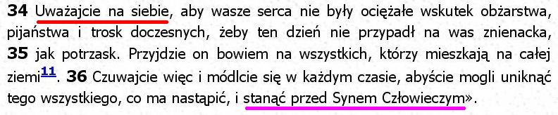 Biblia Tysiąclecia Pallottinum